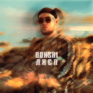 Bonsai — Лиса
